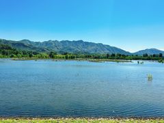 -唐指山风景区