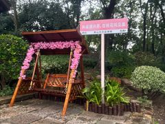 -茅山东方盐湖城景区