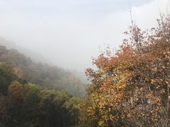 -少华山国家森林公园