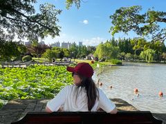 -江心屿景区