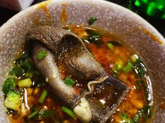 -大龙火锅(老店)