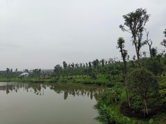 -枫香湖儿童公园