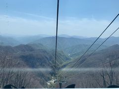 -牛背梁国家森林公园