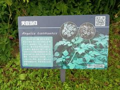 -浙西天池景区