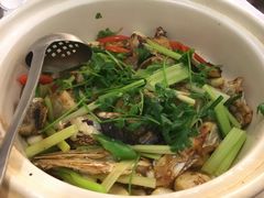 -桃源尚品海鲜酒楼(京港澳高速店)
