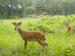 -不觉晓CAMPING(上海迪士尼营地店)
