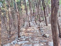 -千佛山风景名胜区