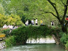 -四明山国家森林公园