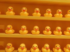 -福州奇幻解压馆(东泰禾旗舰店)