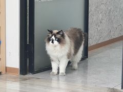 -良伴无忧宠物医院(泰欣嘉园店)