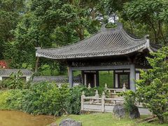 -深圳仙湖植物园