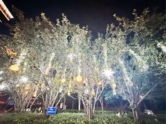-凤凰汇购物中心