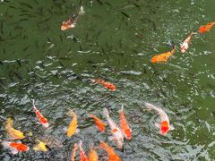 -水濂山森林公园