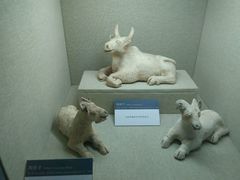 -广西壮族自治区博物馆