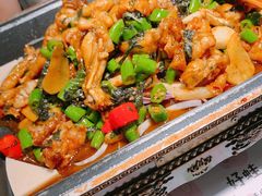 鲜青椒紫苏味平锅牛蛙-蛙小淲(虎门万达店)