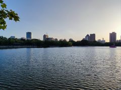 -莲花池公园