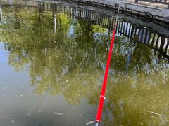 -酷鱼垂钓CLUB(朝阳区博大路店 )