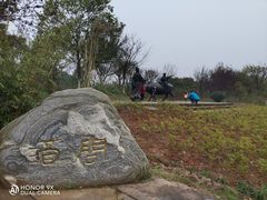 -杏花村文化旅游区