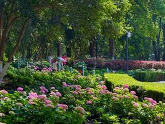 -常州古运河南大街文化旅游区-人民公园