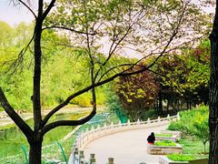-大望京公园