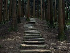 -海窝子古镇