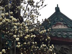 -中国中医科学院西苑医院(本部)