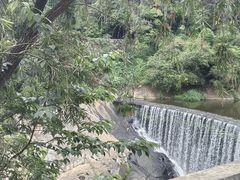 -九鲤湖风景区