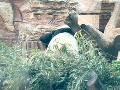 -石家庄市动物园