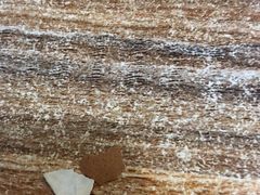 -北京稻香村(花市店)