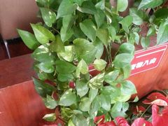 android_upload_pic-一点味(安定门店)