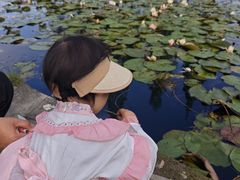 -河泥荡文化公园