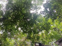 -草根堂农场