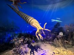 -国家自然博物馆