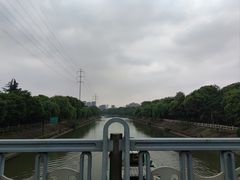 -运河游船(武林门码头)