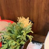 今天的串串香好满足啊