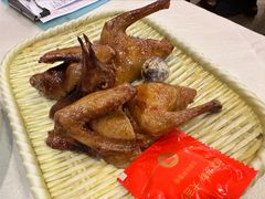 -清新鸡沙田乳鸽店(金融店)