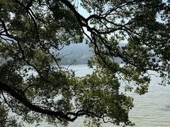 -严子陵钓台(富春江小三峡)