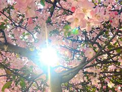 -二沙岛艺术公园