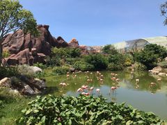 -芽庄珍珠岛游乐园