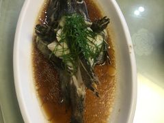 -鑫悦楼煎蟹·16年海鲜大排档