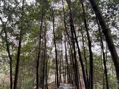 -梦姑塘文化公园