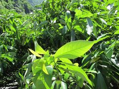 景点-石门涧