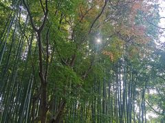 -汇龙潭