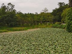 -南国桃园旅游度假区