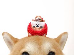 -好利来(木渎店)