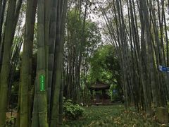 -望江楼公园