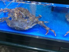 -长申超市(美食城店)
