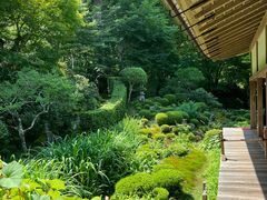 -三千院