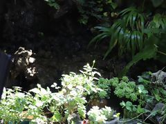 -炊烟餐厅