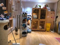 -Pets First伊珊娜洗护·精致美容·家庭式寄养(新会路店)